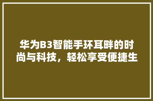 华为B3智能手环耳畔的时尚与科技，轻松享受便捷生活