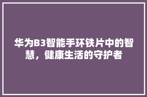 华为B3智能手环铁片中的智慧，健康生活的守护者