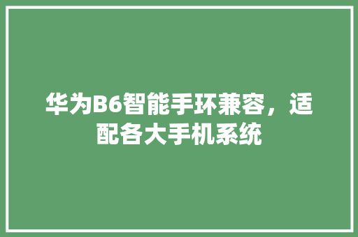 华为B6智能手环兼容，适配各大手机系统