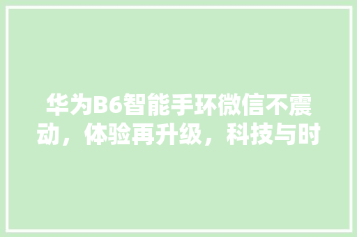 华为B6智能手环微信不震动，体验再升级，科技与时尚的完美融合  第1张