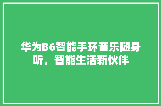 华为B6智能手环音乐随身听，智能生活新伙伴