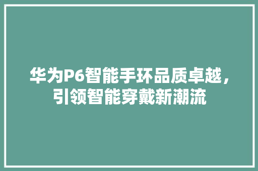 华为P6智能手环品质卓越，引领智能穿戴新潮流