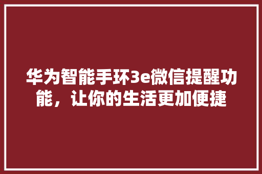 华为智能手环3e微信提醒功能，让你的生活更加便捷  第1张