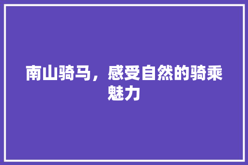 南山骑马，感受自然的骑乘魅力