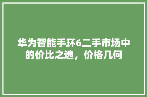 华为智能手环6二手市场中的价比之选，价格几何