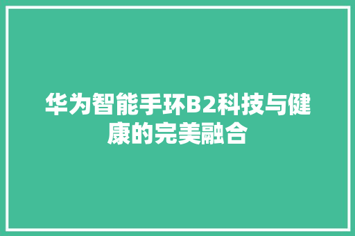 华为智能手环B2科技与健康的完美融合