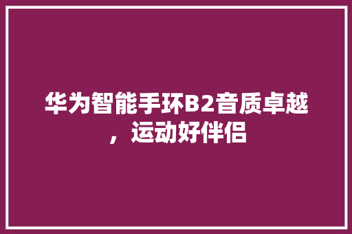 华为智能手环B2音质卓越，运动好伴侣