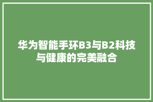 华为智能手环B3与B2科技与健康的完美融合