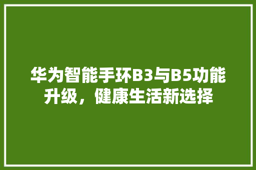 华为智能手环B3与B5功能升级，健康生活新选择