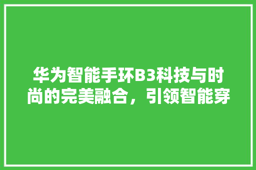 华为智能手环B3科技与时尚的完美融合，引领智能穿戴新潮流