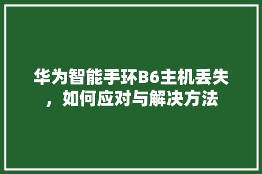 华为智能手环B6主机丢失，如何应对与解决方法