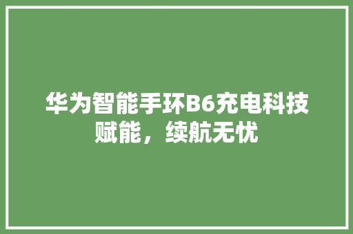 华为智能手环B6充电科技赋能，续航无忧