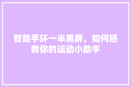 智能手环一半黑屏，如何拯救你的运动小助手  第1张