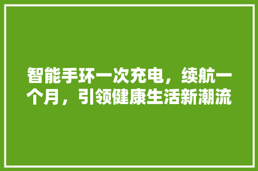 智能手环一次充电，续航一个月，引领健康生活新潮流