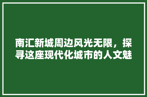 南汇新城周边风光无限，探寻这座现代化城市的人文魅力