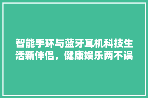 智能手环与蓝牙耳机科技生活新伴侣，健康娱乐两不误  第1张