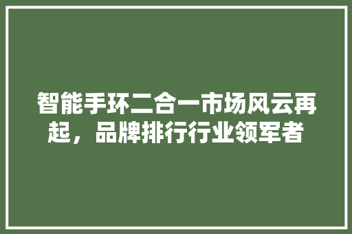 智能手环二合一市场风云再起，品牌排行行业领军者