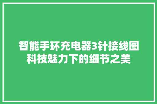 智能手环充电器3针接线图科技魅力下的细节之美