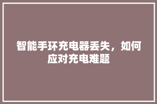 智能手环充电器丢失，如何应对充电难题