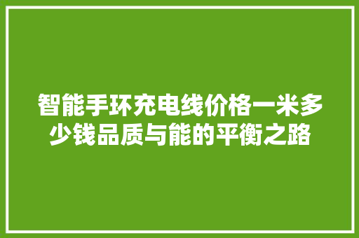 智能手环充电线价格一米多少钱品质与能的平衡之路