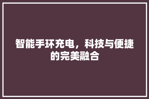 智能手环充电，科技与便捷的完美融合  第1张