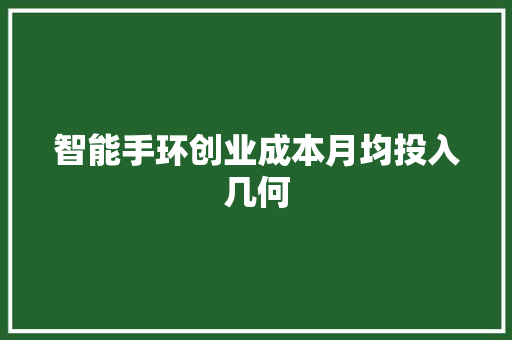 智能手环创业成本月均投入几何