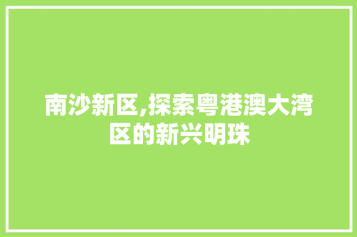 南沙新区,探索粤港澳大湾区的新兴明珠