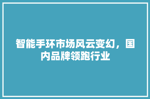 智能手环市场风云变幻，国内品牌领跑行业