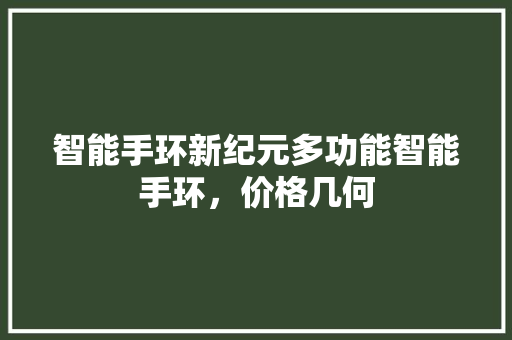 智能手环新纪元多功能智能手环，价格几何  第1张