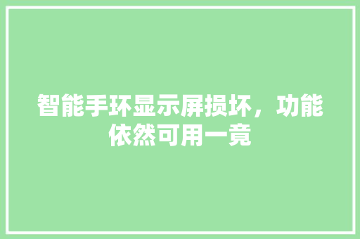 智能手环显示屏损坏，功能依然可用一竟