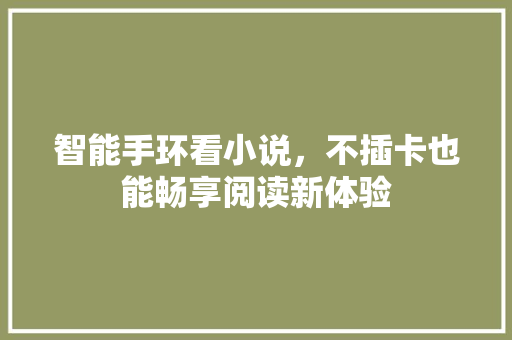 智能手环看小说，不插卡也能畅享阅读新体验