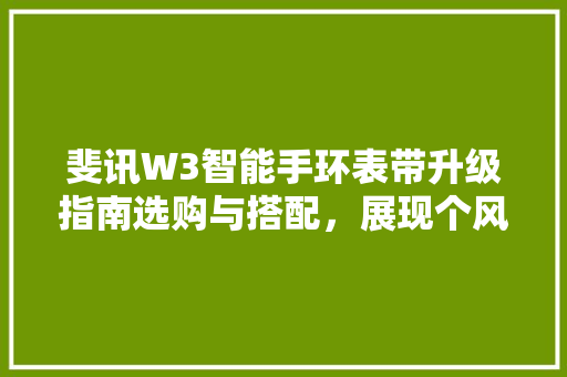 斐讯W3智能手环表带升级指南选购与搭配，展现个风采