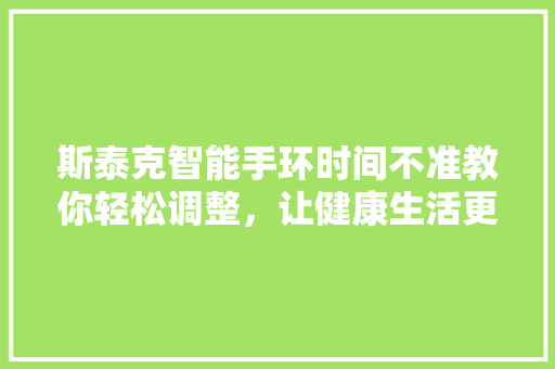 斯泰克智能手环时间不准教你轻松调整，让健康生活更有序