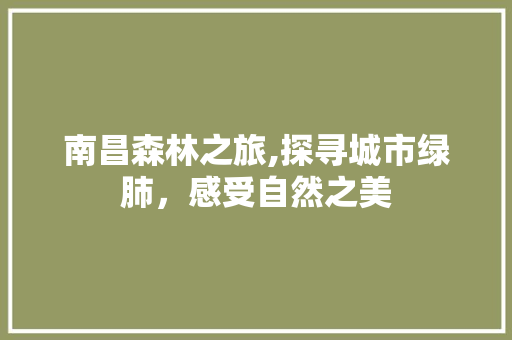 南昌森林之旅,探寻城市绿肺，感受自然之美