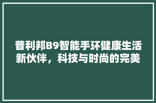 普利邦B9智能手环健康生活新伙伴，科技与时尚的完美融合