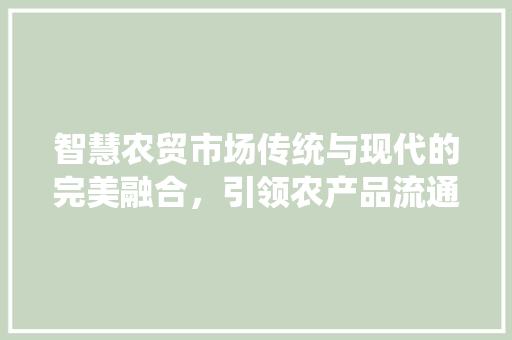 智慧农贸市场传统与现代的完美融合，引领农产品流通新潮流