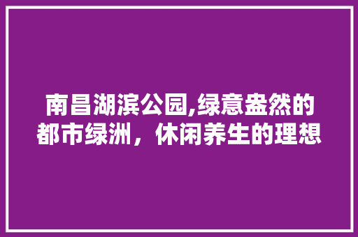 南昌湖滨公园,绿意盎然的都市绿洲，休闲养生的理想之地