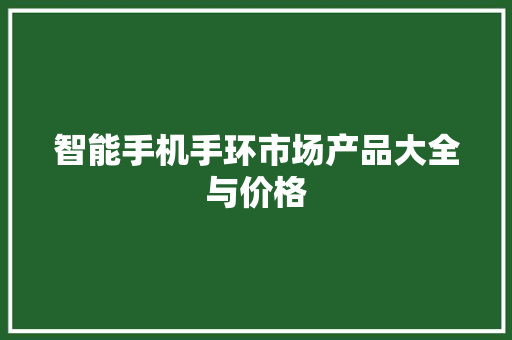 智能手机手环市场产品大全与价格  第1张