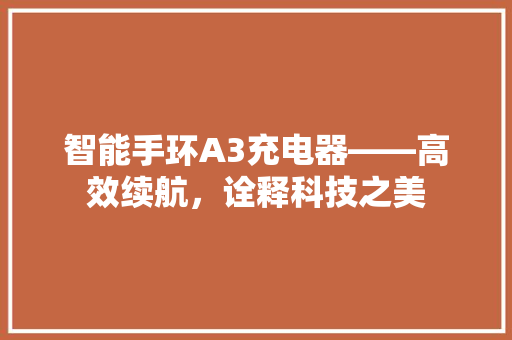 智能手环A3充电器——高效续航，诠释科技之美