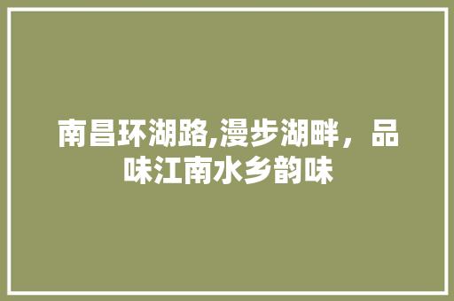 南昌环湖路,漫步湖畔，品味江南水乡韵味