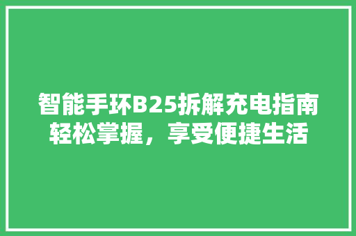 智能手环B25拆解充电指南轻松掌握，享受便捷生活