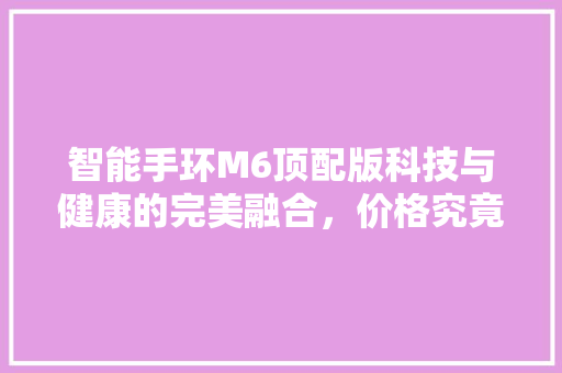 智能手环M6顶配版科技与健康的完美融合，价格究竟几何