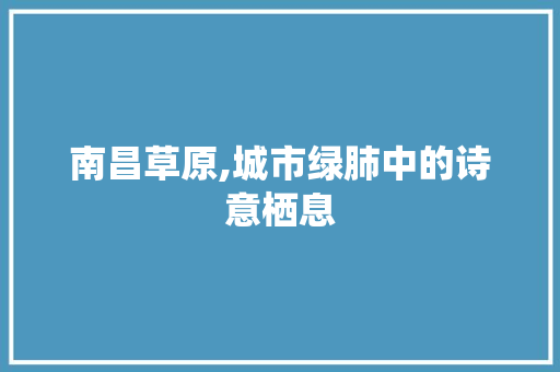 南昌草原,城市绿肺中的诗意栖息