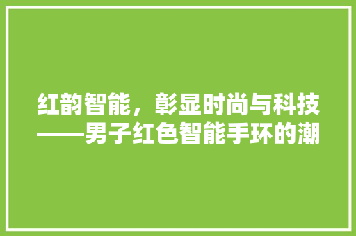 红韵智能，彰显时尚与科技——男子红色智能手环的潮流诠释