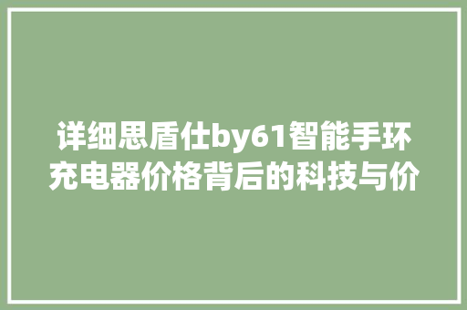 详细思盾仕by61智能手环充电器价格背后的科技与价值