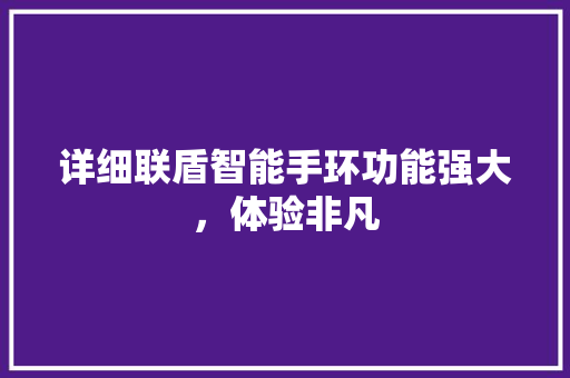 详细联盾智能手环功能强大，体验非凡