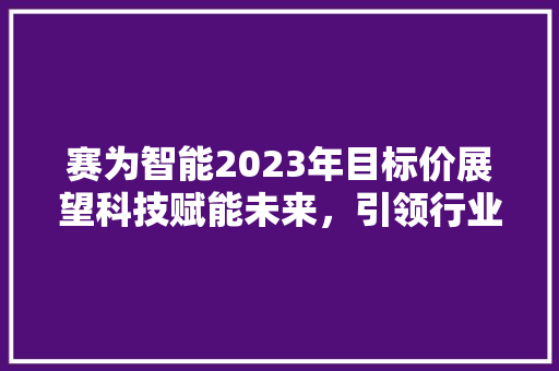 赛为智能2023年目标价展望科技赋能未来，引领行业新趋势