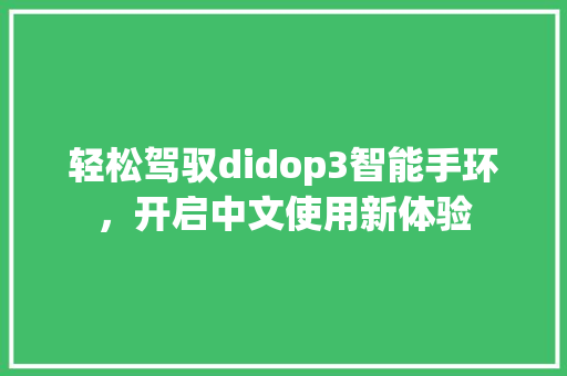 轻松驾驭didop3智能手环，开启中文使用新体验