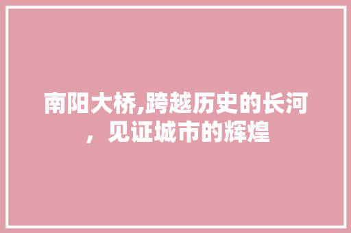 南阳大桥,跨越历史的长河，见证城市的辉煌