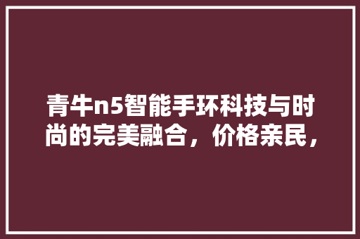 青牛n5智能手环科技与时尚的完美融合，价格亲民，功能强大